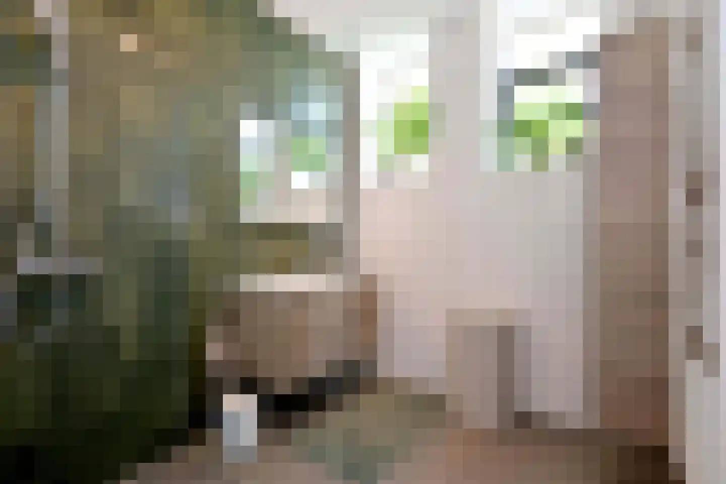 Sint Geertruidenhof 40 Deventer thumbnail 26