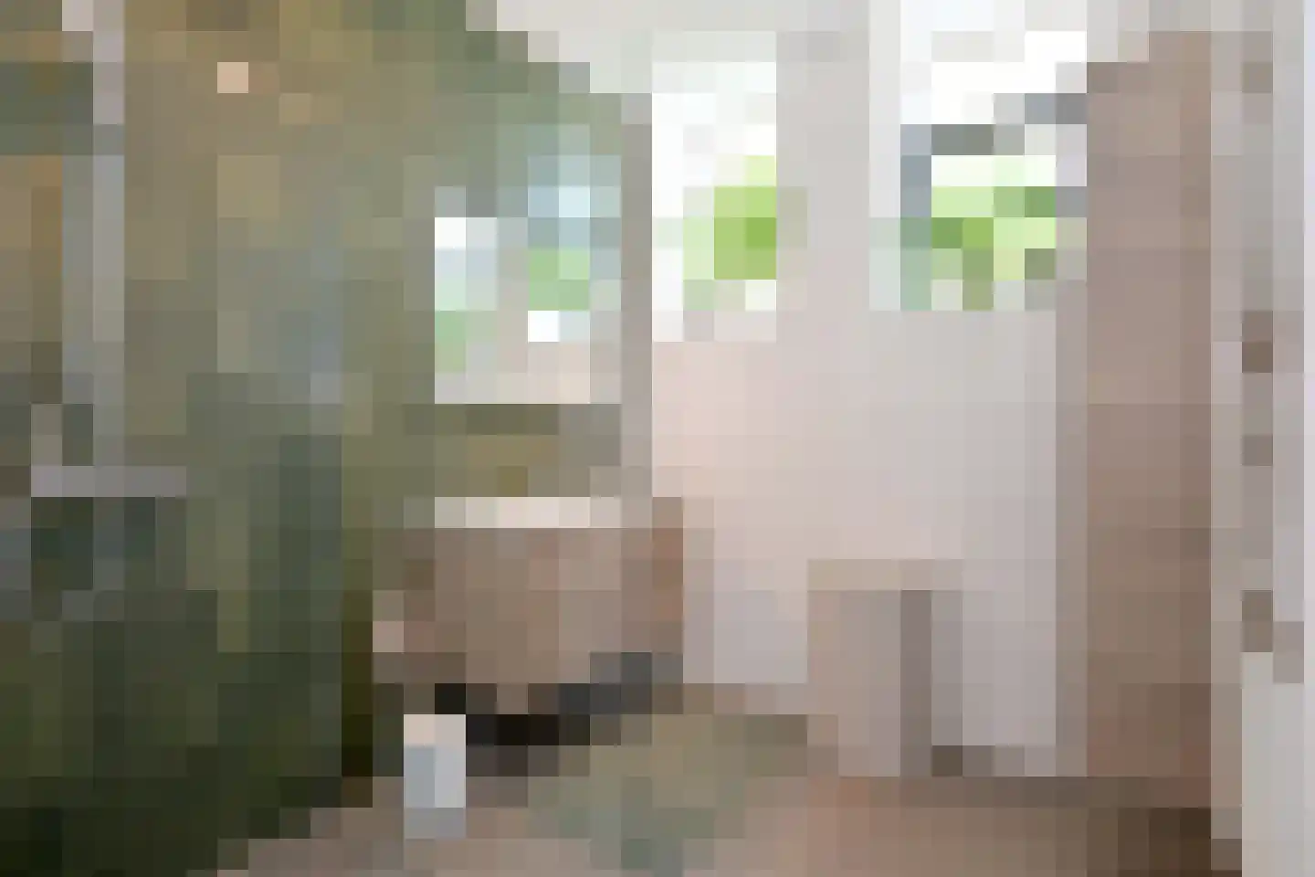 Sint Geertruidenhof 40 Deventer thumbnail 26