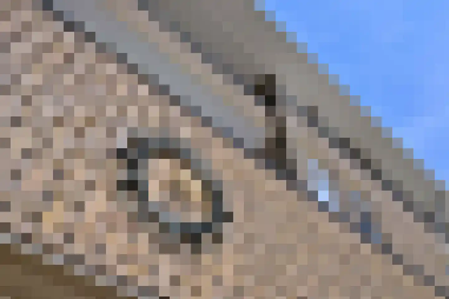 Sint Geertruidenhof 40 Deventer thumbnail 33