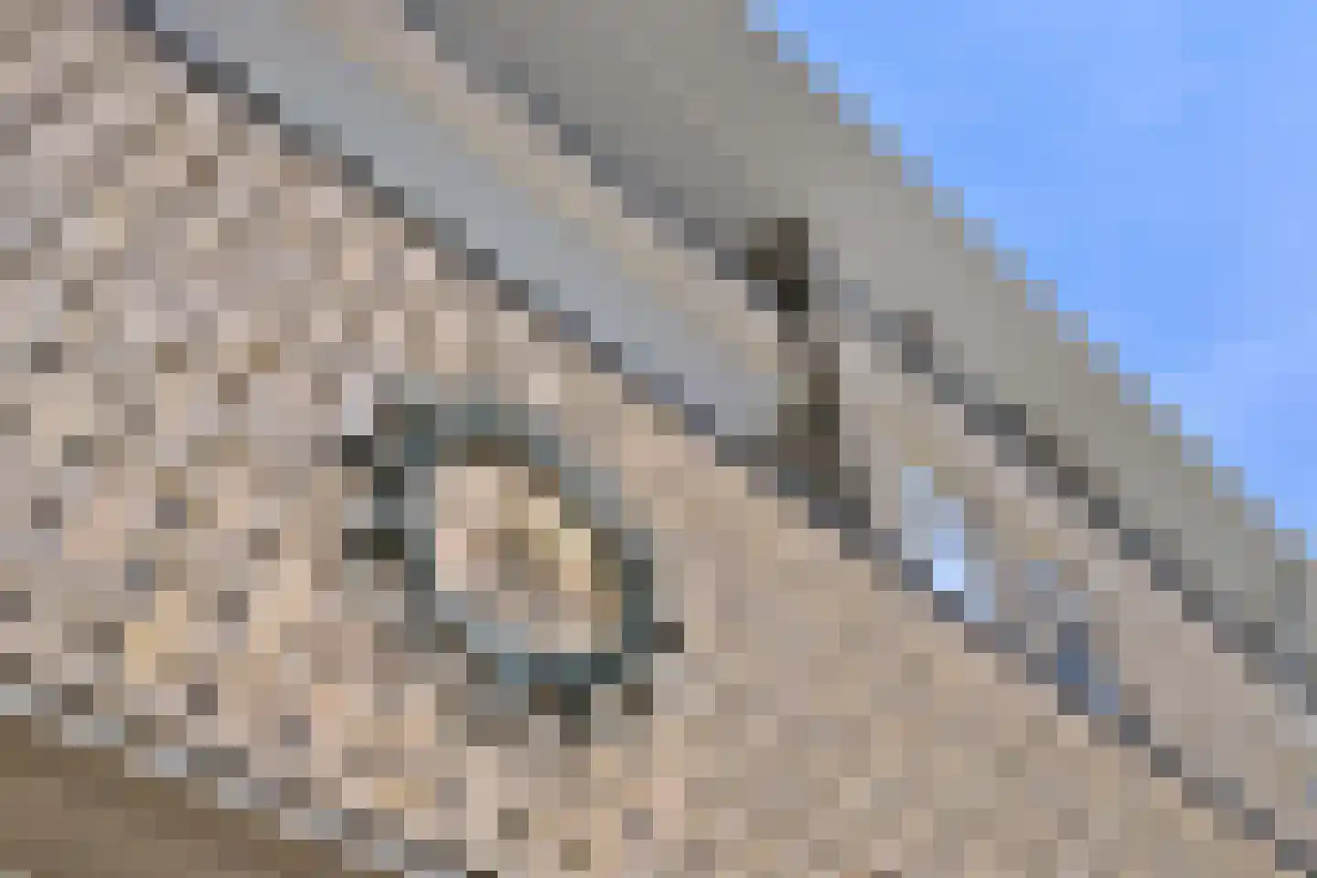 Sint Geertruidenhof 40 Deventer thumbnail 33