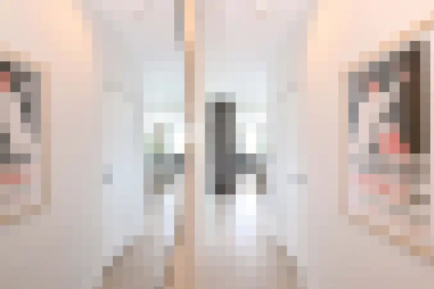 Sint Geertruidenhof 40 Deventer thumbnail 4