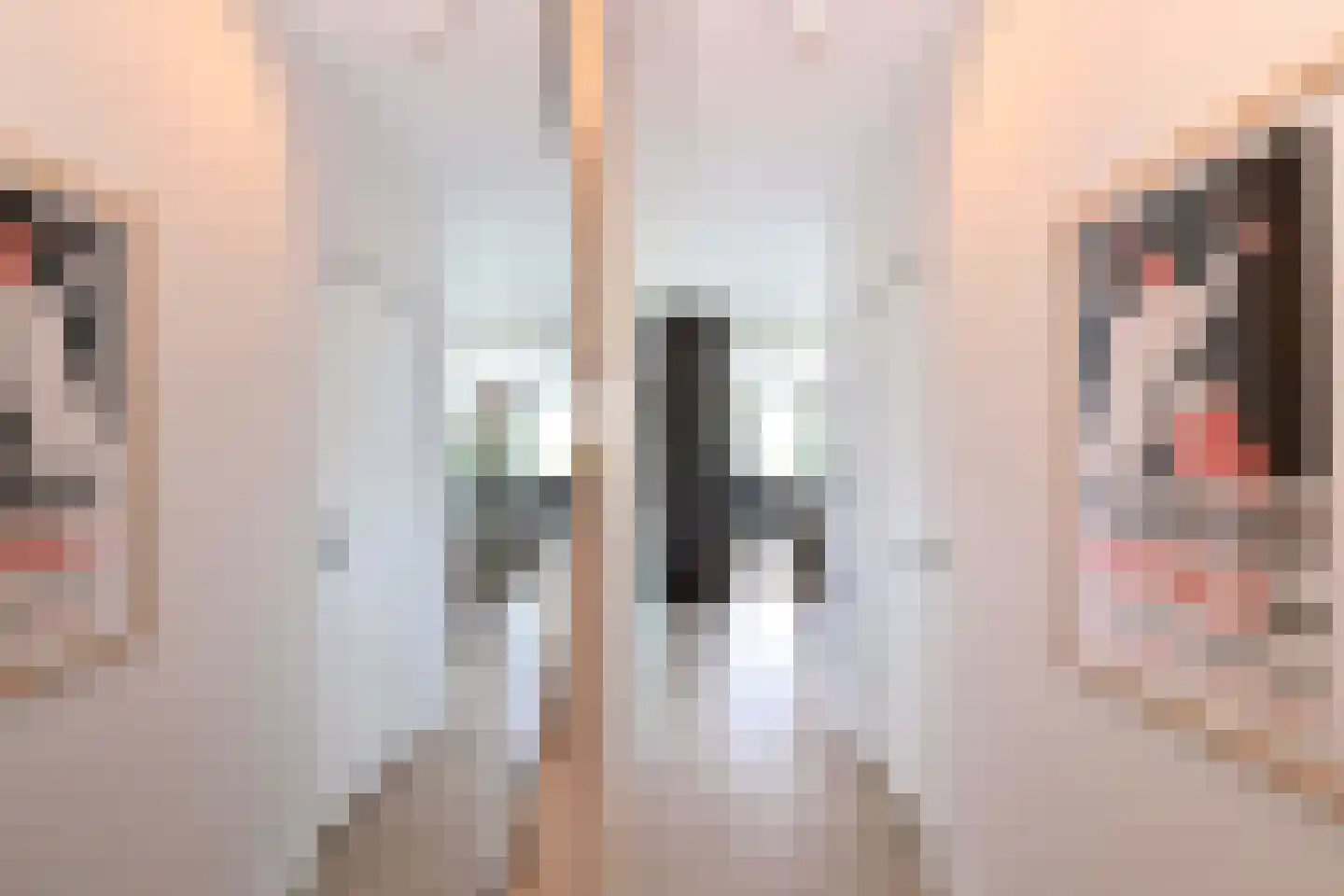 Sint Geertruidenhof 40 Deventer thumbnail 4
