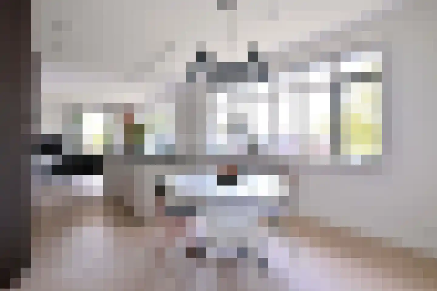 Sint Geertruidenhof 40 Deventer thumbnail 5