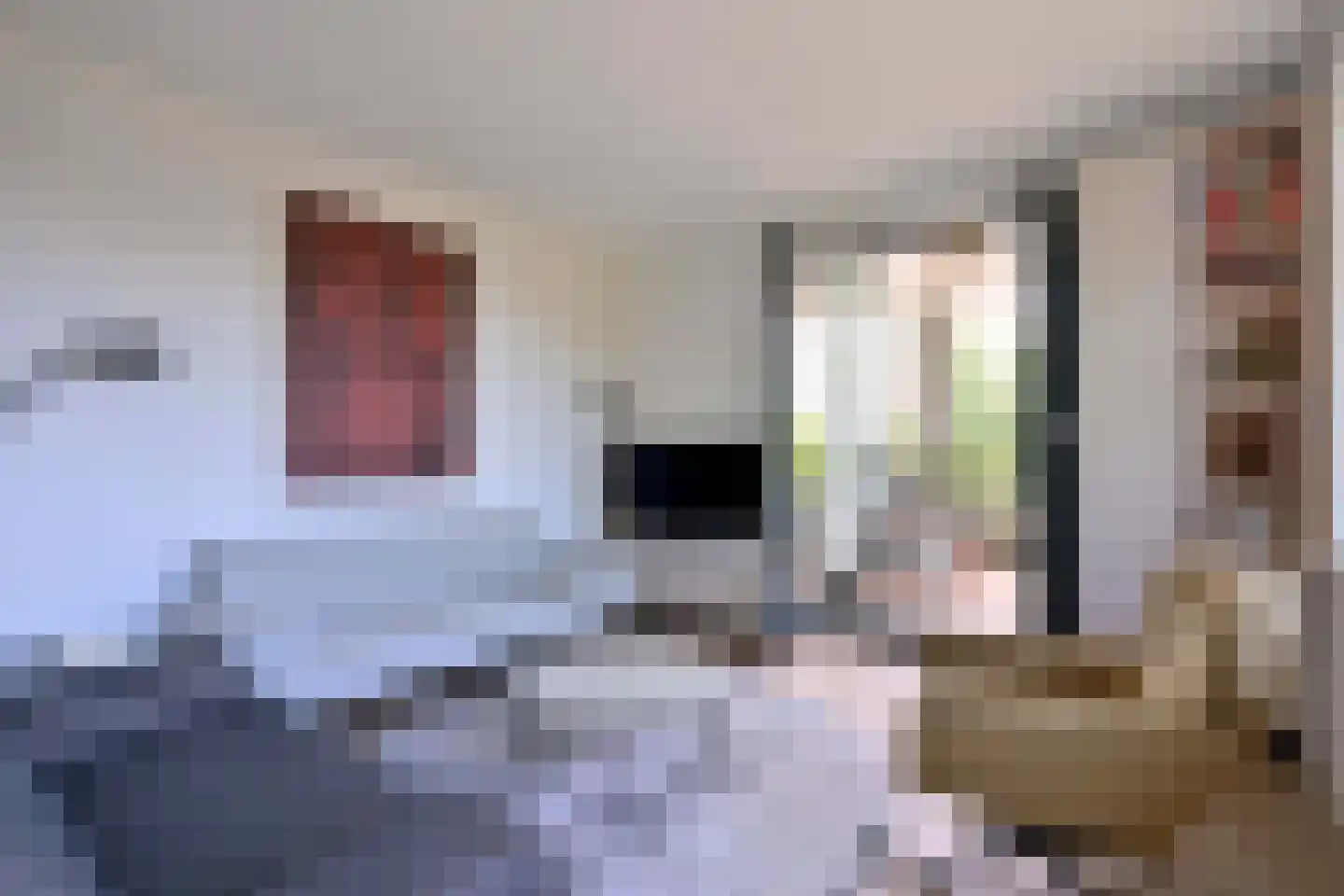 Sint Geertruidenhof 40 Deventer thumbnail 8
