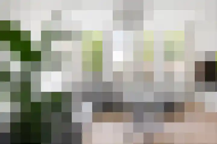 Sint Geertruidenhof 49 Deventer thumbnail 4