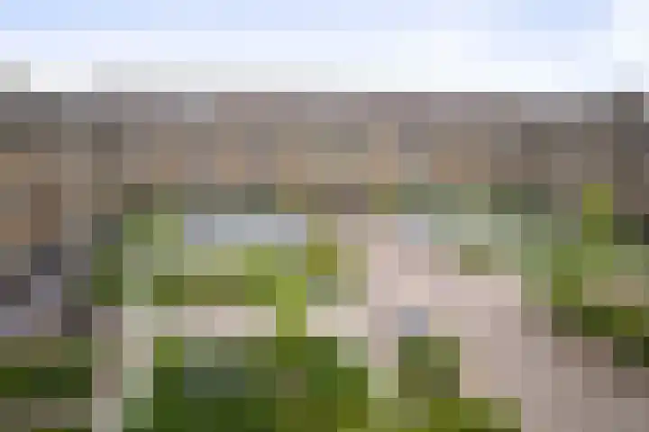 Sint Geertruidenhof 49 Deventer thumbnail 41