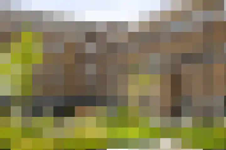 Sint Geertruidenhof 49 Deventer thumbnail 45