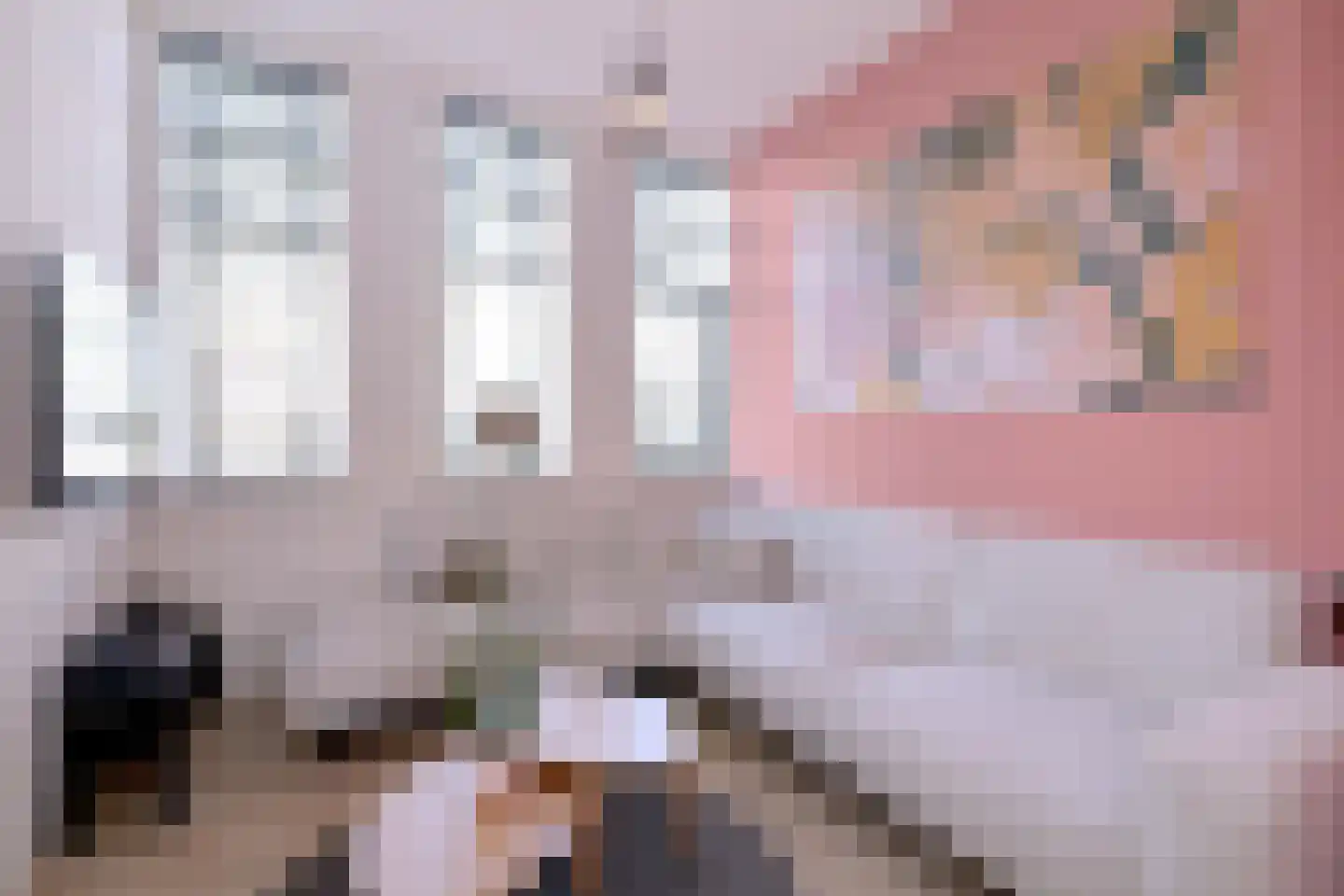 Sint Geertruidenhof 52 Deventer thumbnail 18