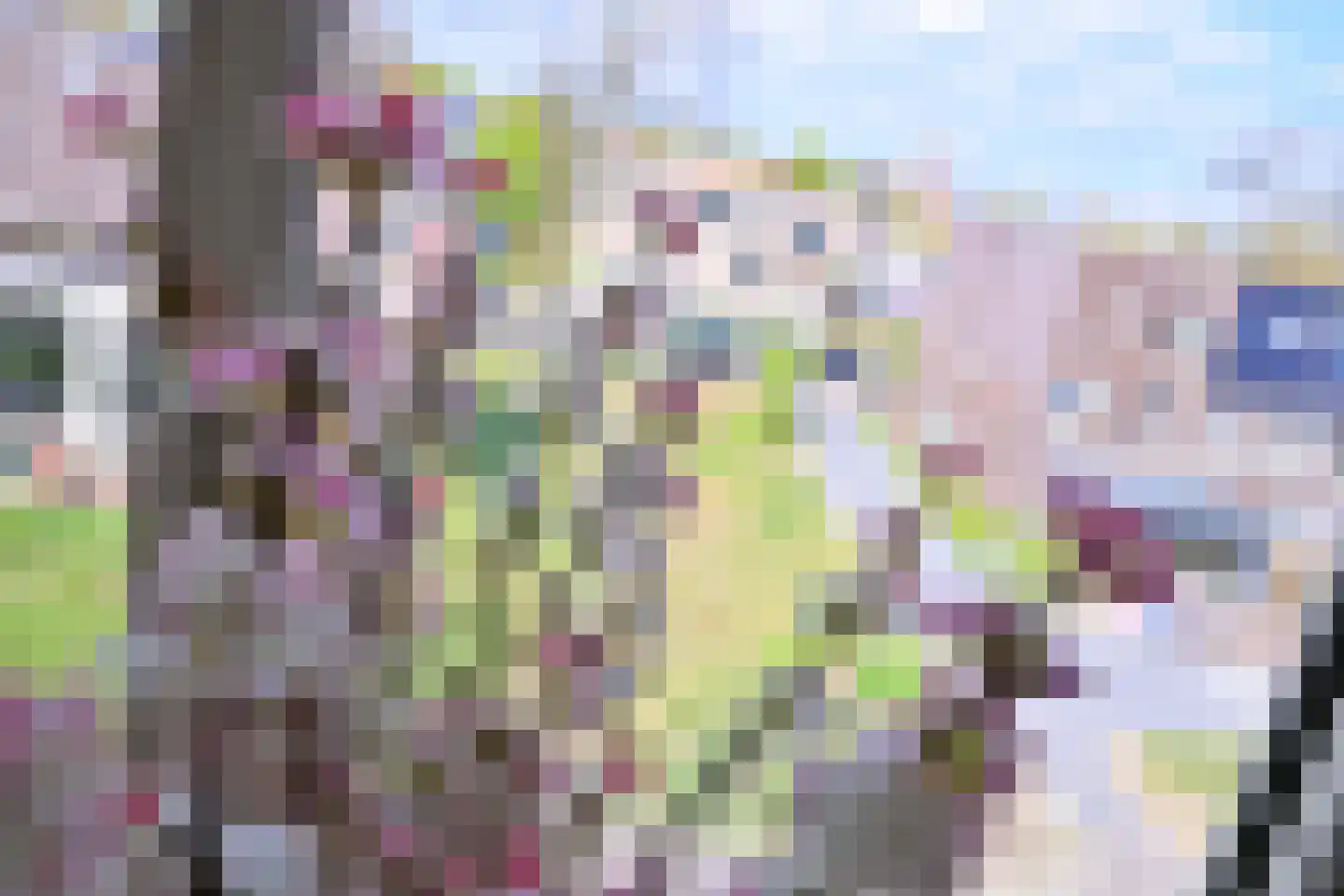 Sint Geertruidenhof 52 Deventer thumbnail 32