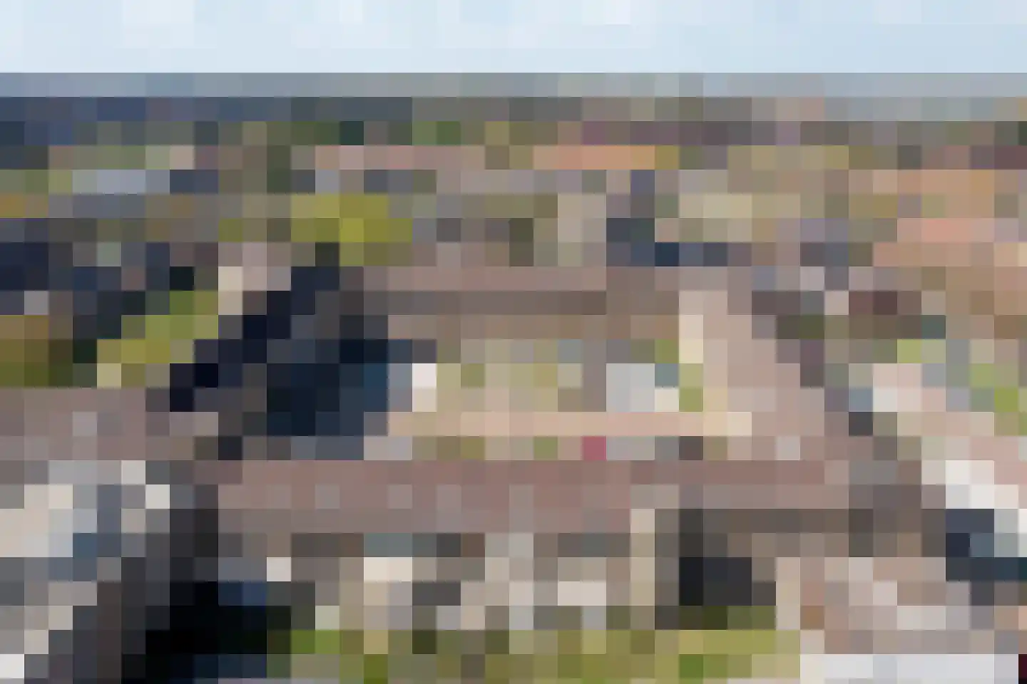 Sint Geertruidenhof 52 Deventer thumbnail 52