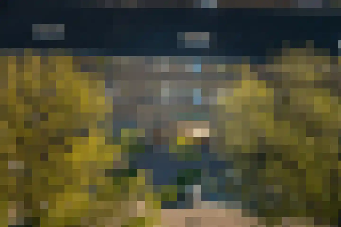 Sint Geertruidenhof 54 Deventer thumbnail 39