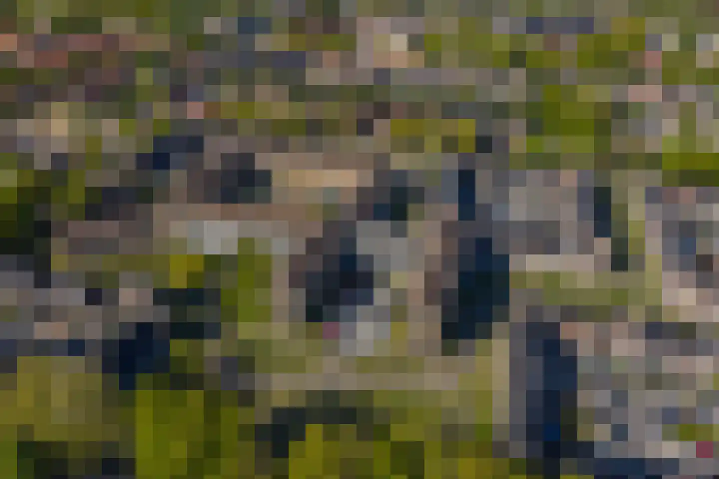 Sint Geertruidenhof 54 Deventer thumbnail 45