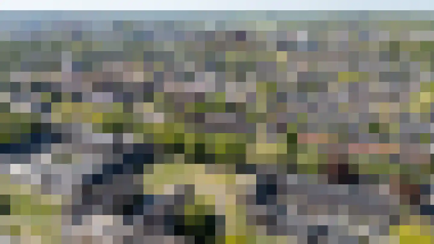 Sint Geertruidenhof 54 Deventer thumbnail 50