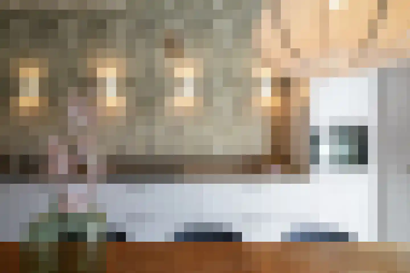 Sint Geertruidenhof 54 Deventer thumbnail 8