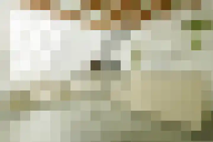 Sint Geertruidensteeg 10 Amsterdam thumbnail 5