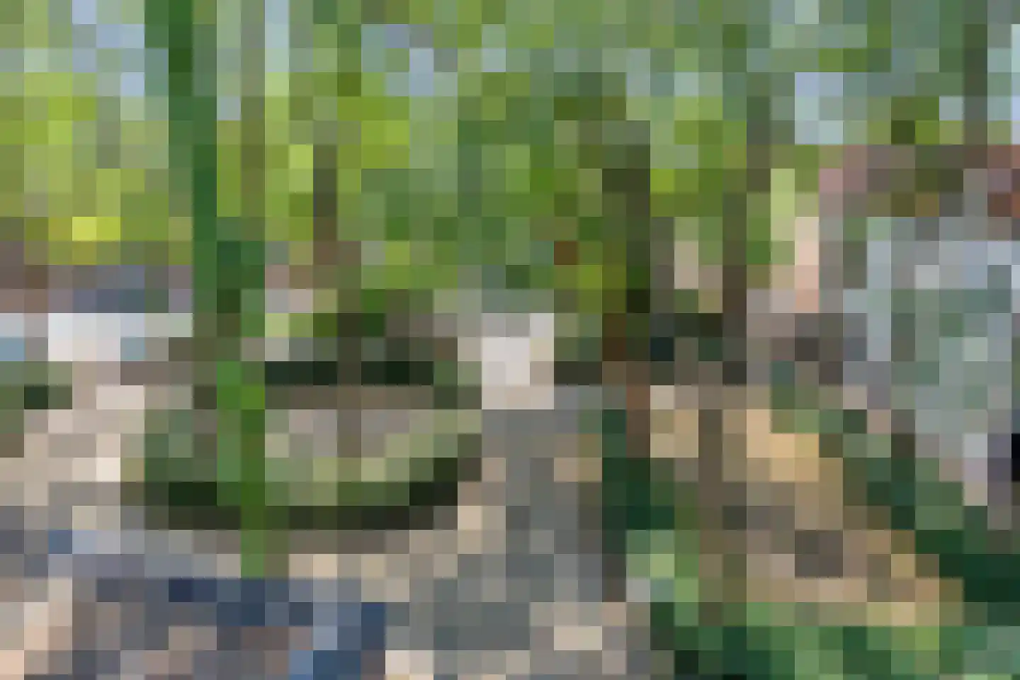Sint Geertruikerkhof 27 's-Hertogenbosch thumbnail 27