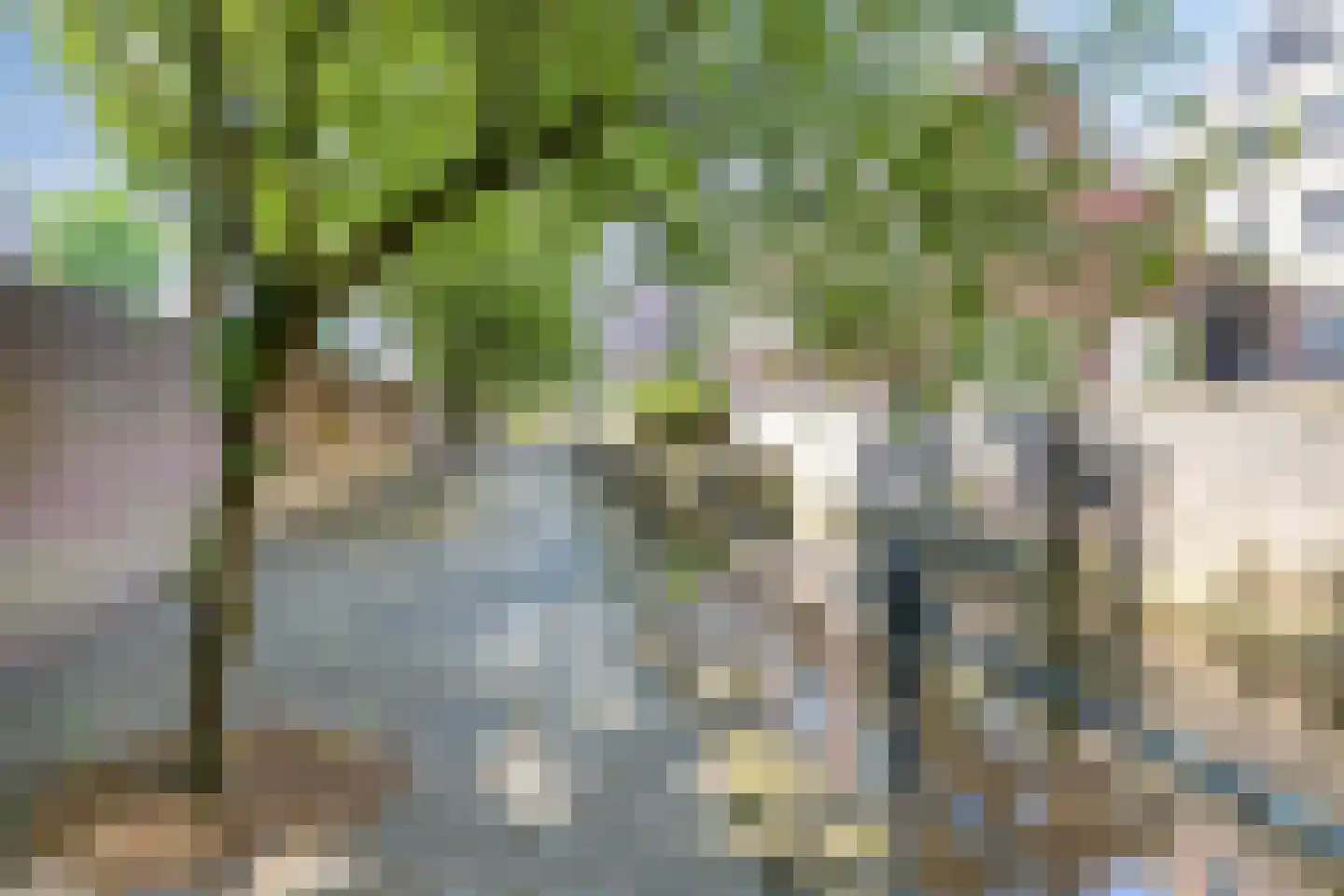 Sint Geertruikerkhof 27 's-Hertogenbosch thumbnail 28