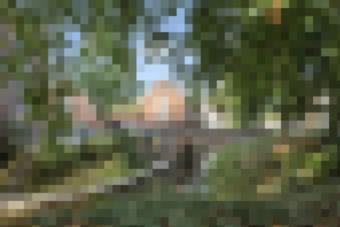 Sint Geertruikerkhof 28 's-Hertogenbosch thumbnail 25