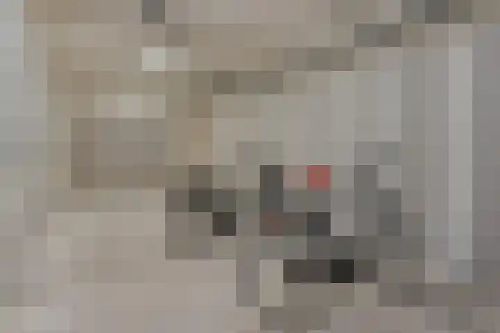 Sint Geertruikerkhof 69 's-Hertogenbosch thumbnail 14
