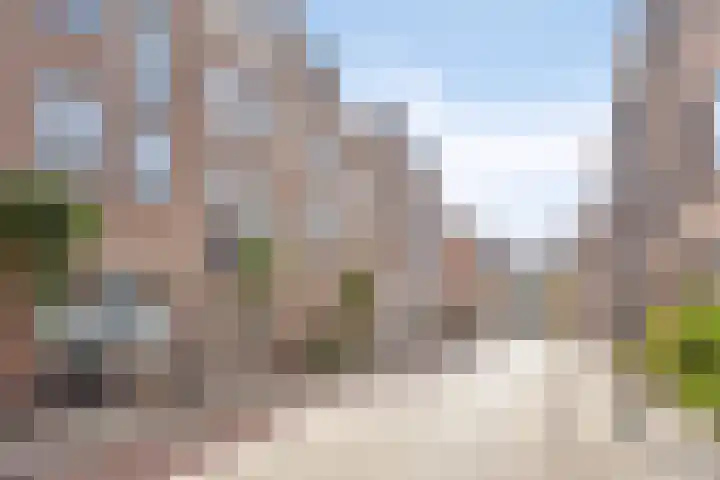 Sint Geertruikerkhof 69 's-Hertogenbosch thumbnail 16