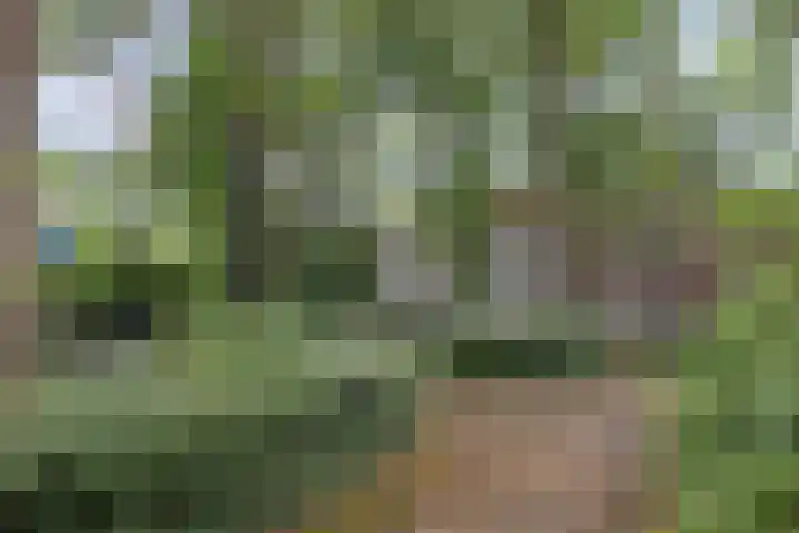 Sint Geertruikerkhof 69 's-Hertogenbosch thumbnail 17