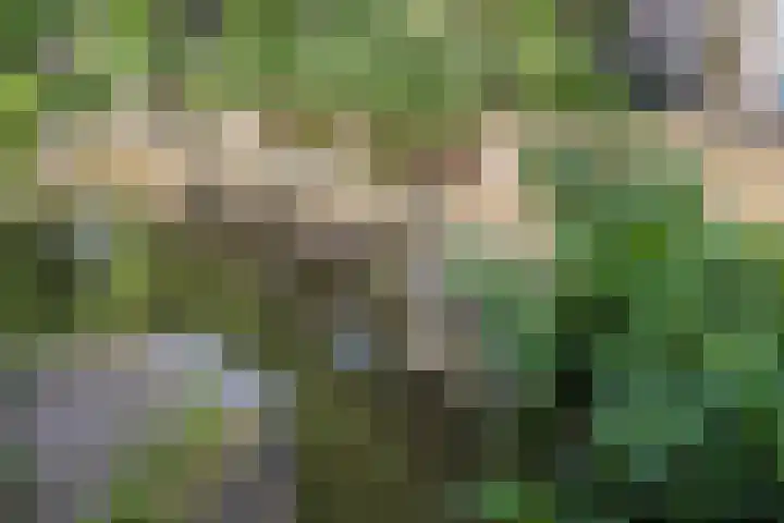 Sint Geertruikerkhof 69 's-Hertogenbosch thumbnail 18