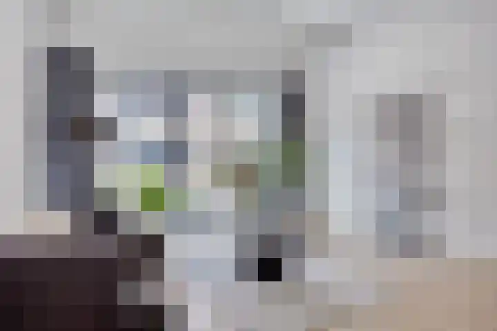 Sint Geertruikerkhof 69 's-Hertogenbosch thumbnail 4