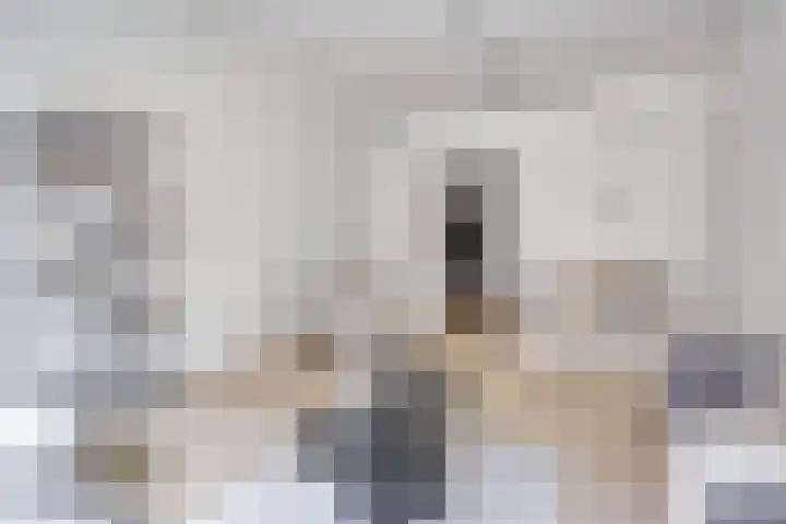 Sint Geertruikerkhof 69 's-Hertogenbosch thumbnail 5