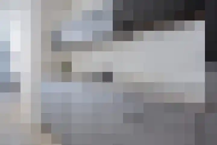 Sint Geertruikerkhof 69 's-Hertogenbosch thumbnail 9