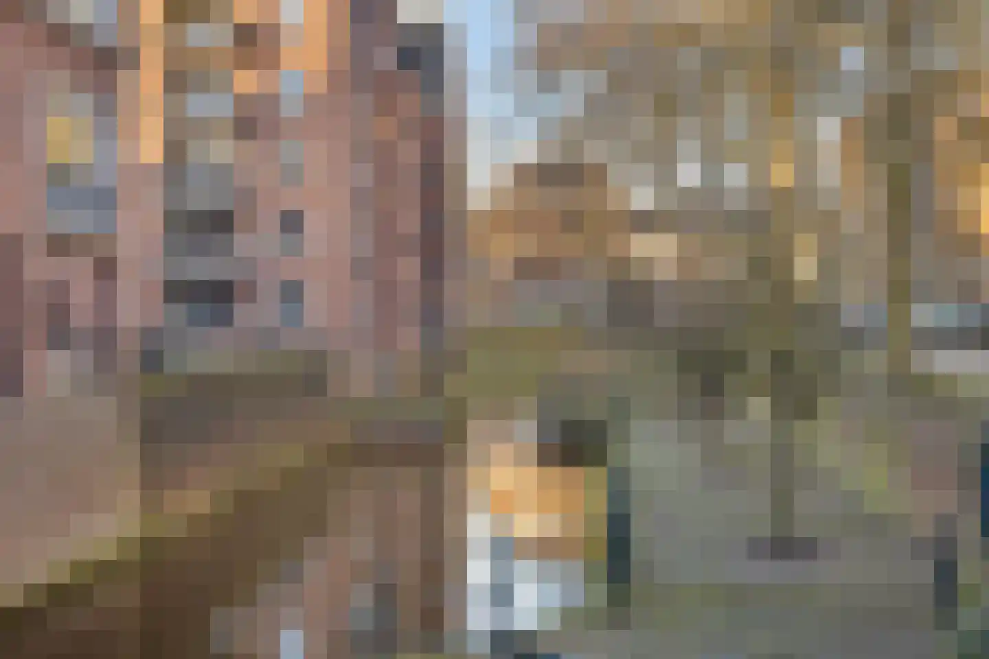 Sint Geertruikerkhof 71 's-Hertogenbosch thumbnail 18