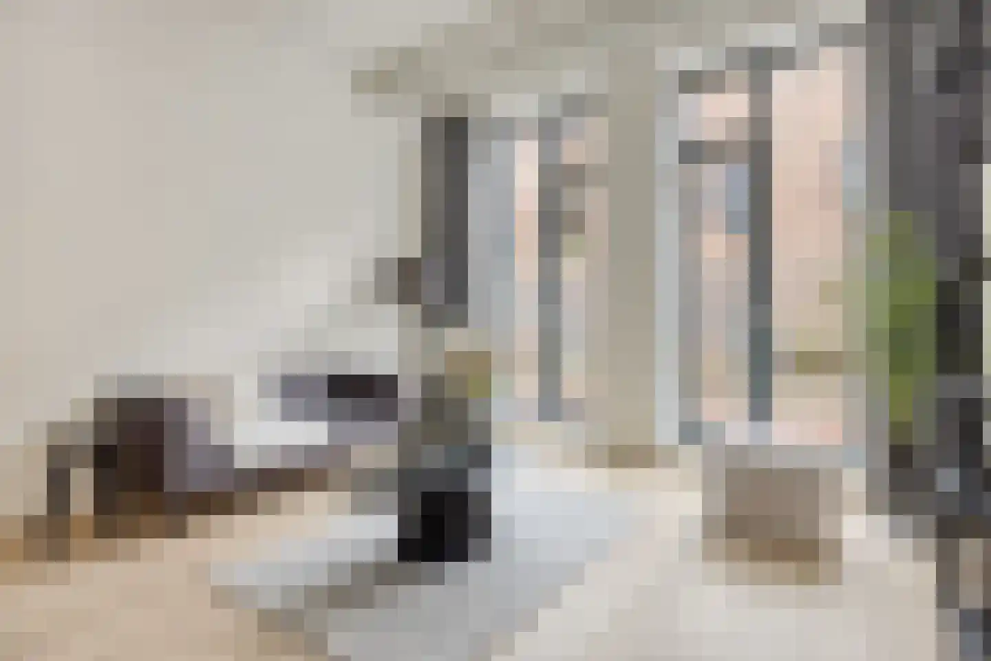 Sint Geertruikerkhof 71 's-Hertogenbosch thumbnail 4