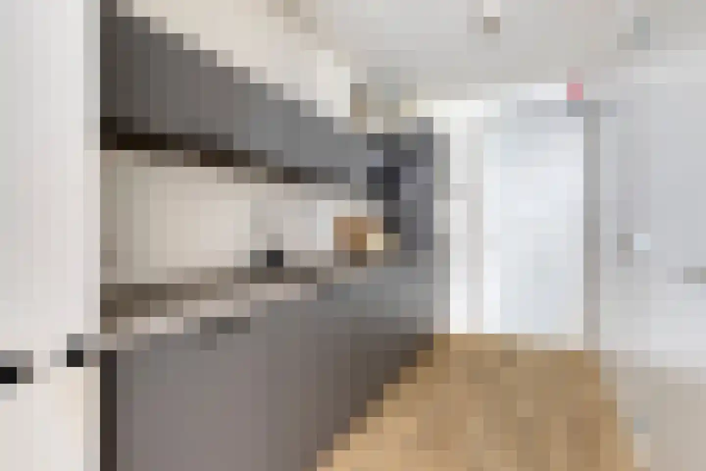 Sint Geertruikerkhof 73 's-Hertogenbosch thumbnail 10