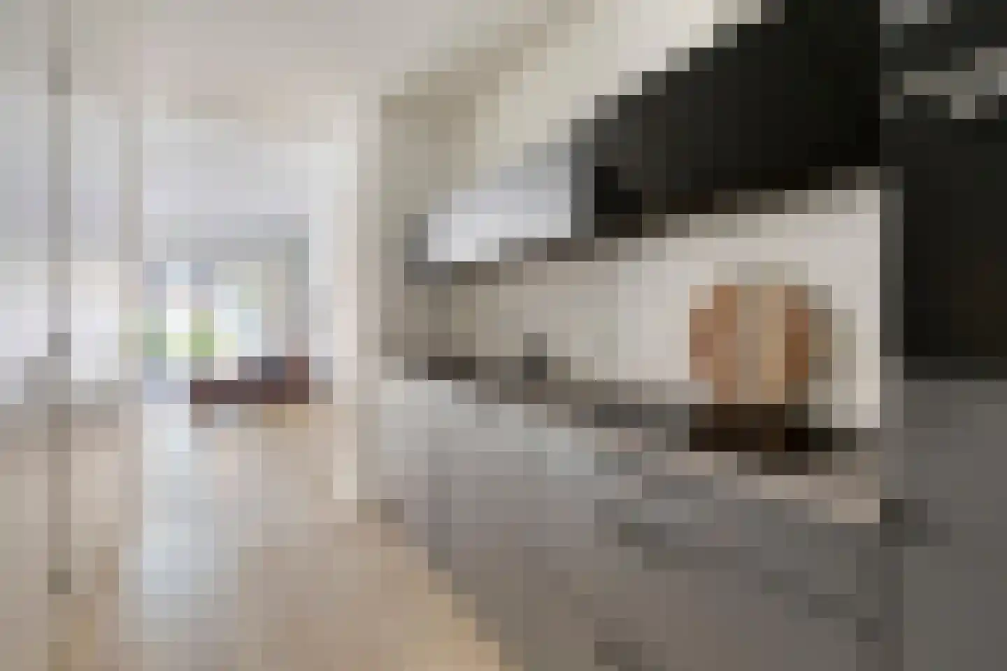 Sint Geertruikerkhof 73 's-Hertogenbosch thumbnail 11