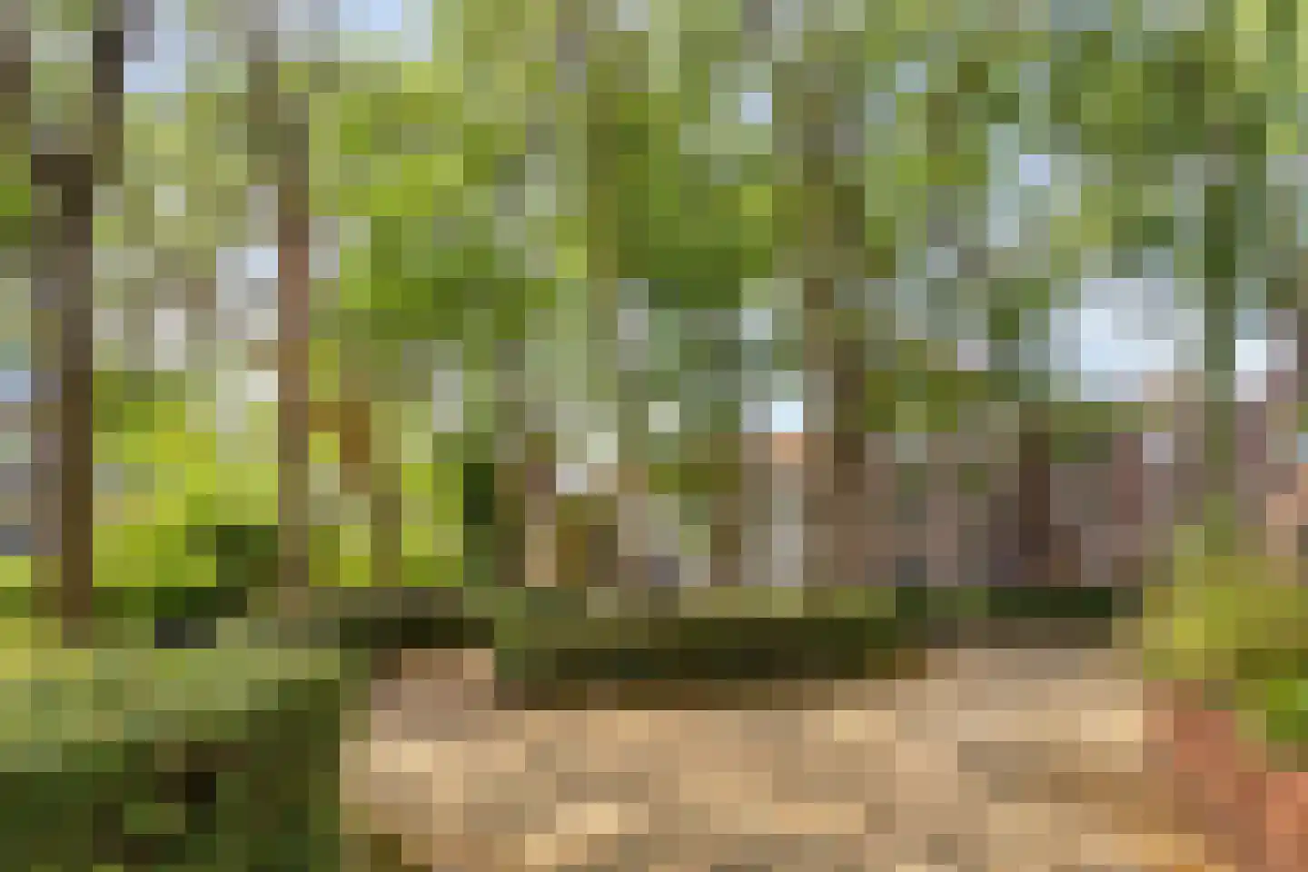 Sint Geertruikerkhof 73 's-Hertogenbosch thumbnail 15
