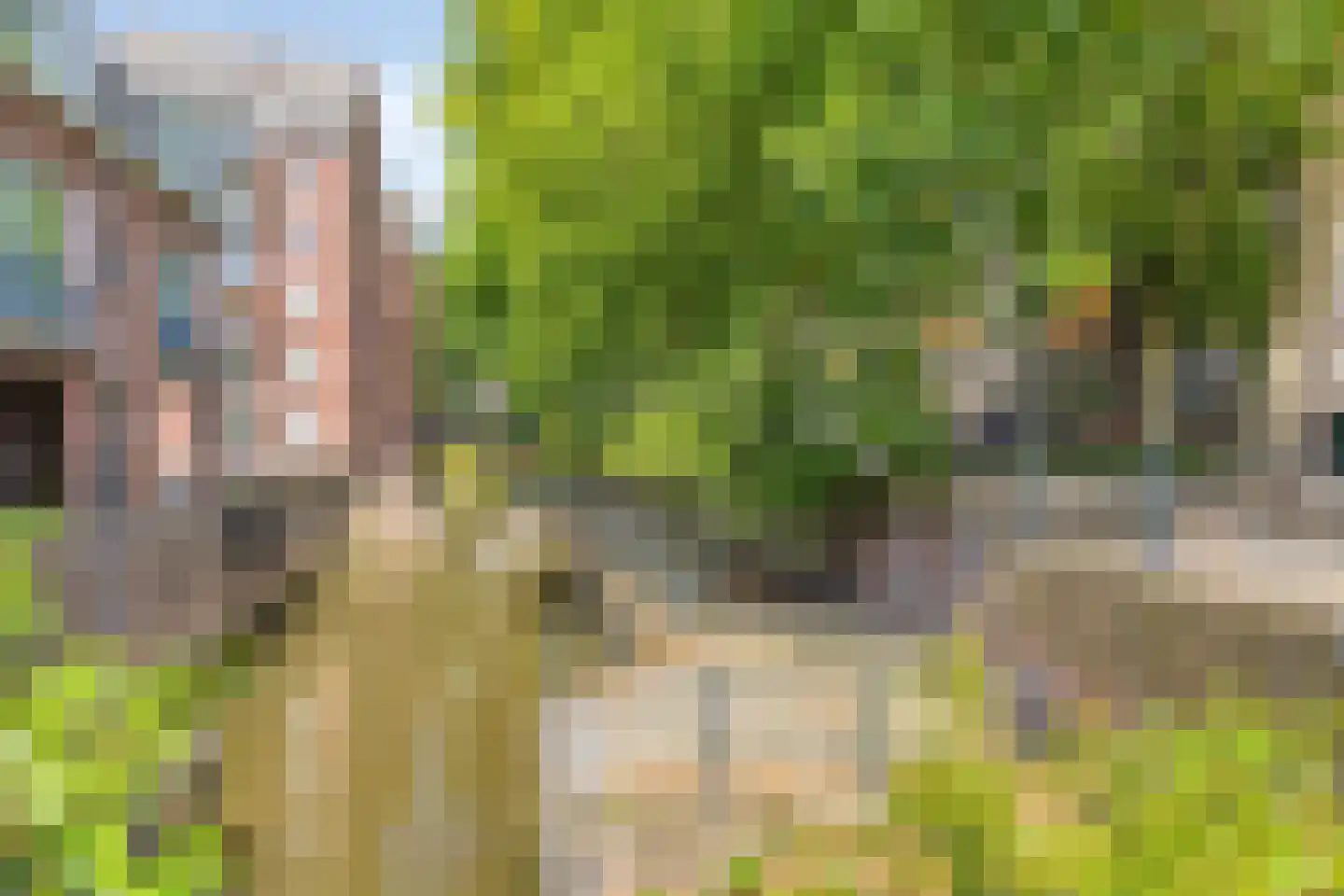 Sint Geertruikerkhof 73 's-Hertogenbosch thumbnail 16