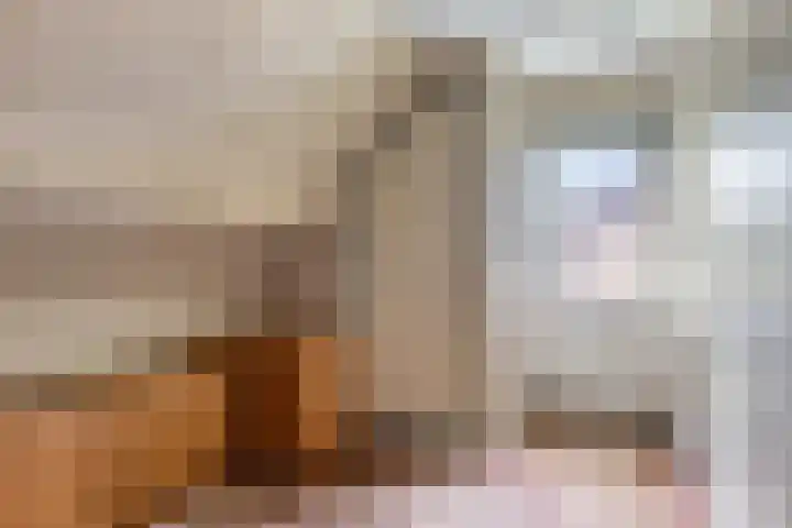 Sint Genovevastraat 30 Son en Breugel thumbnail 14