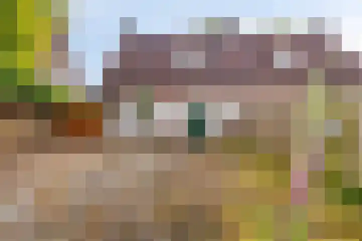 Sint Genovevastraat 30 Son en Breugel thumbnail 17