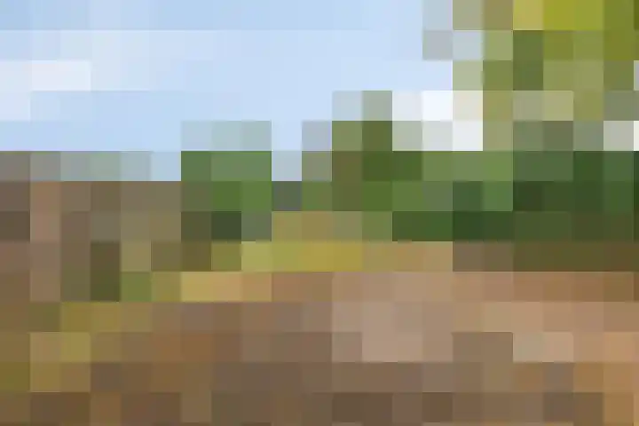 Sint Genovevastraat 30 Son en Breugel thumbnail 18