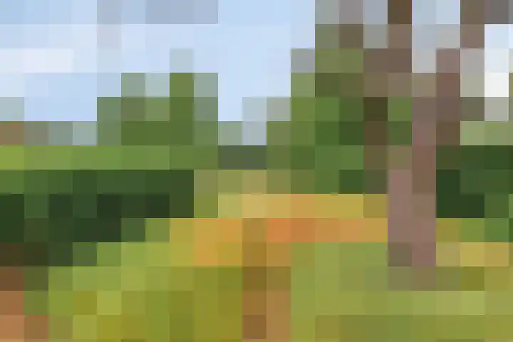 Sint Genovevastraat 30 Son en Breugel thumbnail 19