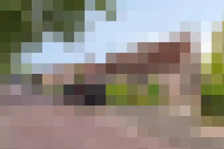 Sint Genovevastraat 30 Son en Breugel thumbnail 20
