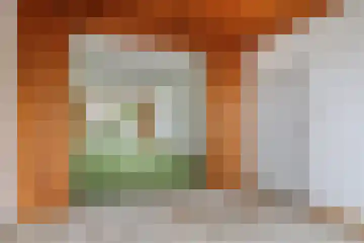 Sint Genovevastraat 44 Son en Breugel thumbnail 12
