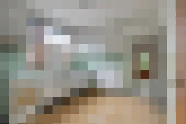 Sint Genovevastraat 44 Son en Breugel thumbnail 13