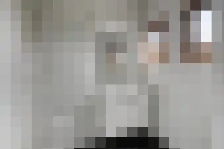 Sint Genovevastraat 44 Son en Breugel thumbnail 18