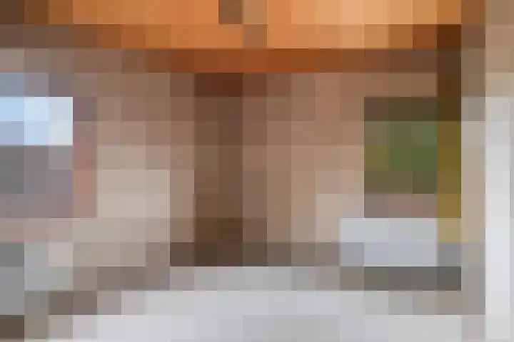 Sint Genovevastraat 44 Son en Breugel thumbnail 19