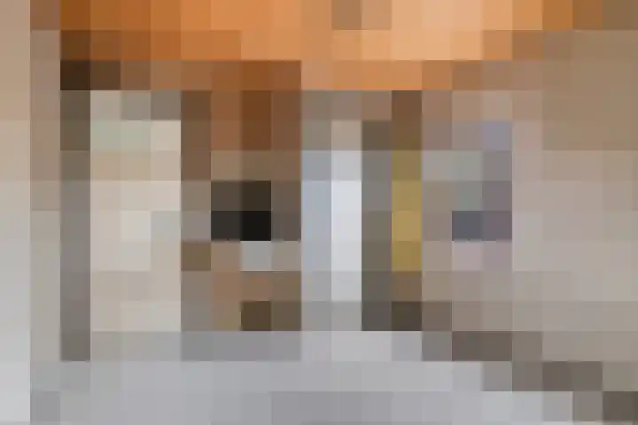 Sint Genovevastraat 44 Son en Breugel thumbnail 20