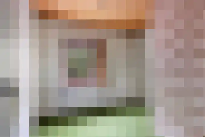 Sint Genovevastraat 44 Son en Breugel thumbnail 21