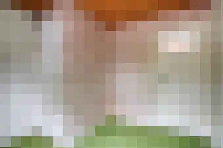 Sint Genovevastraat 44 Son en Breugel thumbnail 22