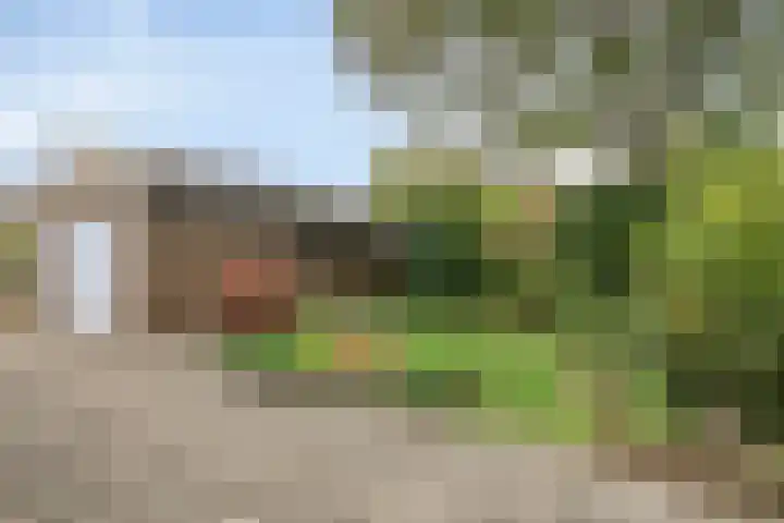 Sint Genovevastraat 44 Son en Breugel thumbnail 30