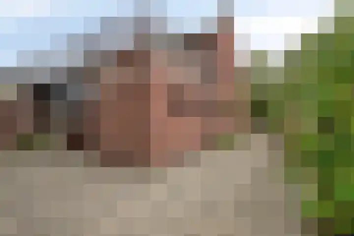 Sint Genovevastraat 44 Son en Breugel thumbnail 31