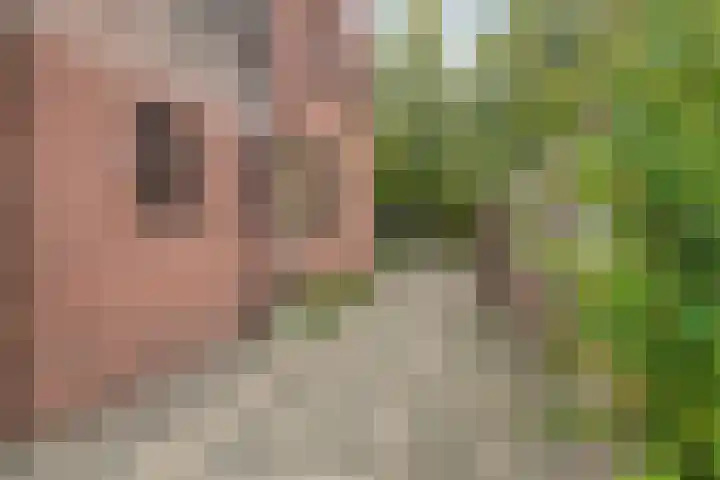 Sint Genovevastraat 44 Son en Breugel thumbnail 32
